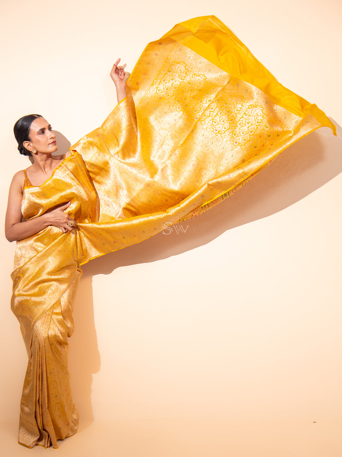 Mustard Meenakari Brocade Handloom Banarasi Saree - Sacred Weaves