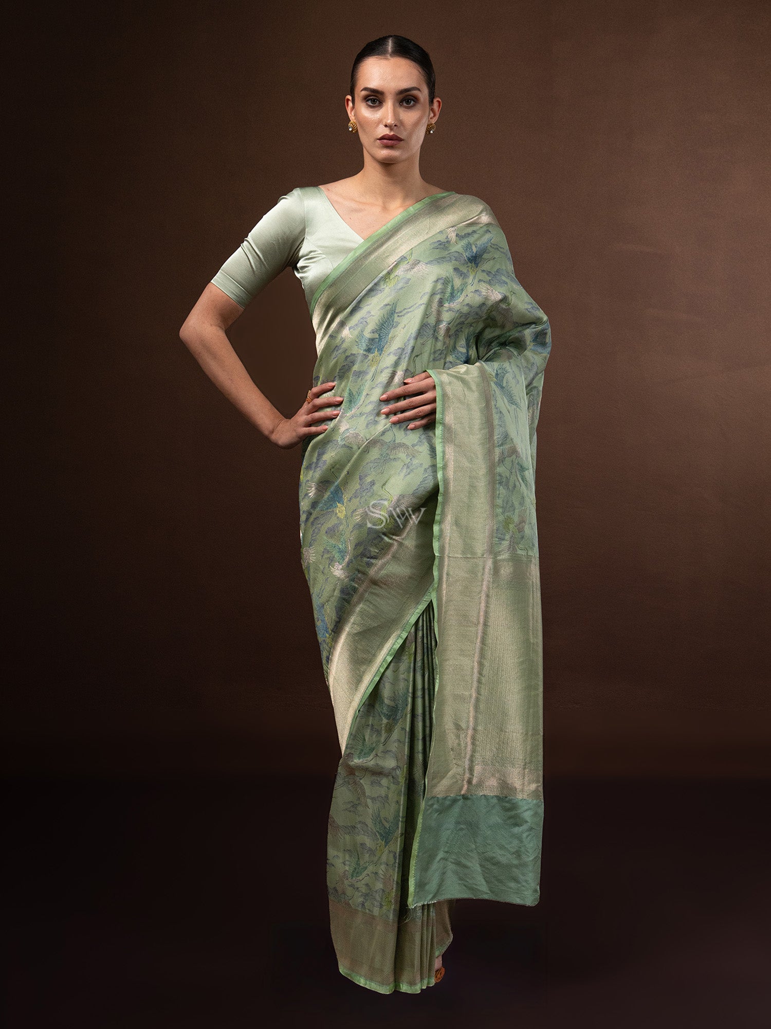 Pastel Green Tissue Katan Silk Handloom Banarasi Saree - Sacred Weaves