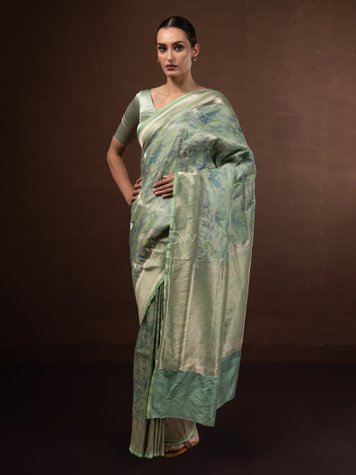 Pastel Green Tissue Katan Silk Handloom Banarasi Saree - Sacred Weaves