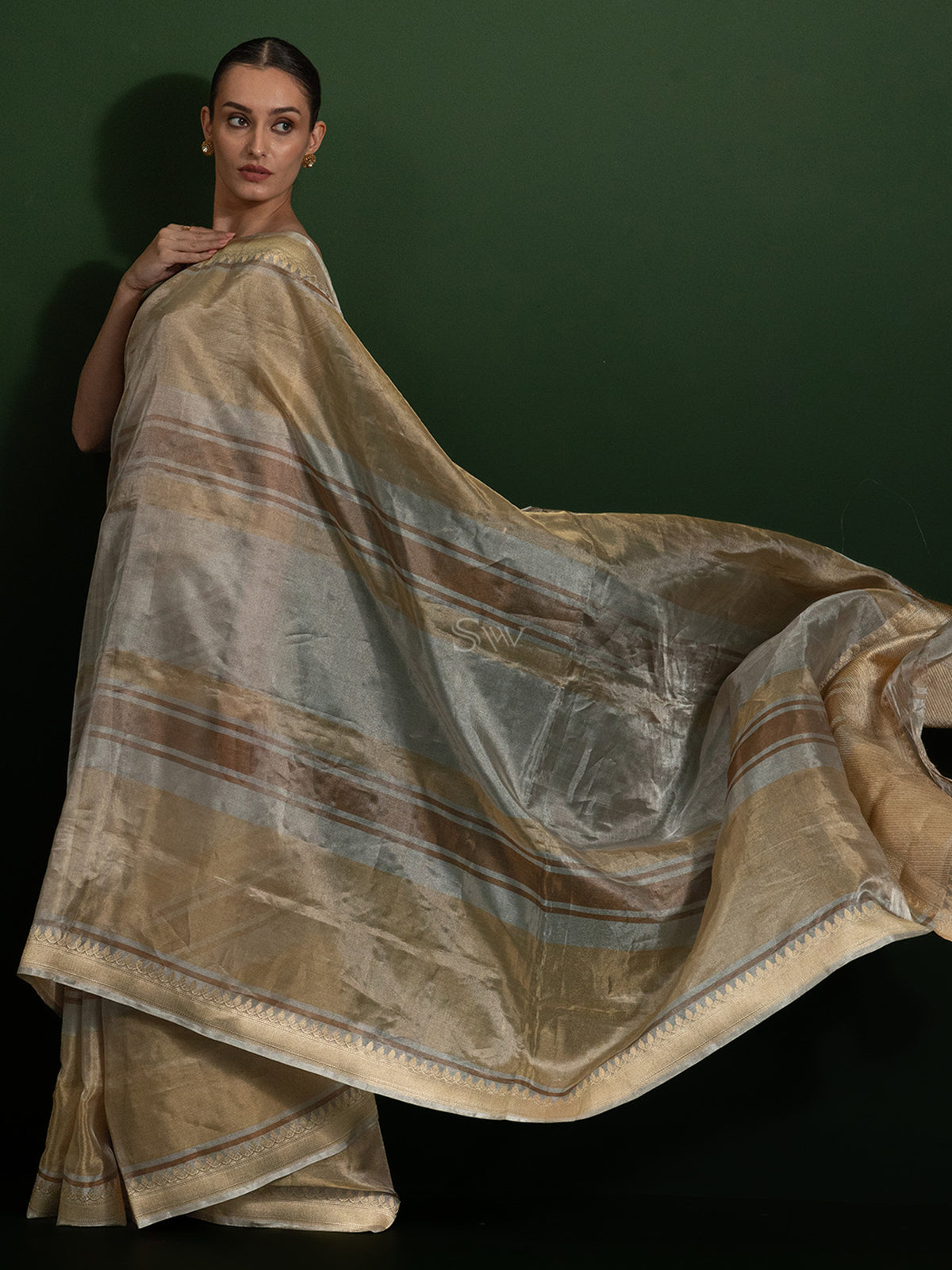 Grey Tissue Rangkat Handloom Banarasi Saree - Sacred Weaves