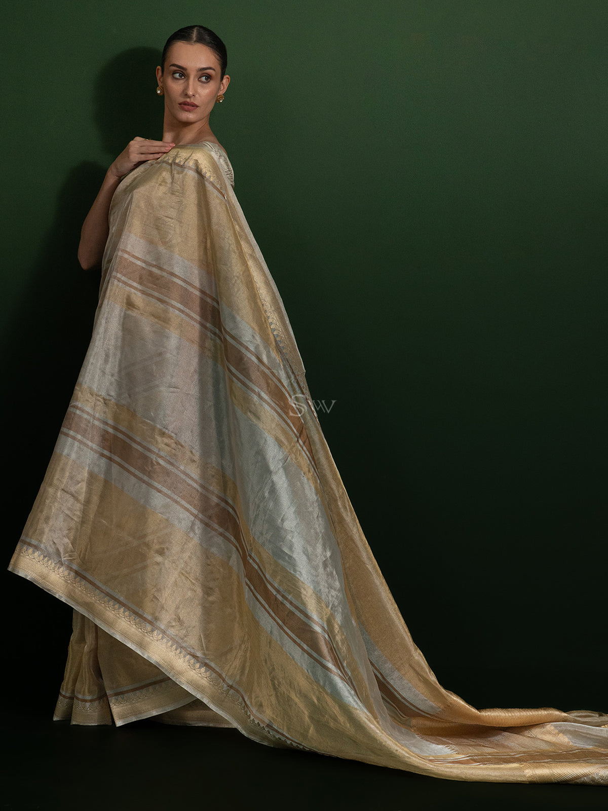 Grey Tissue Rangkat Handloom Banarasi Saree - Sacred Weaves