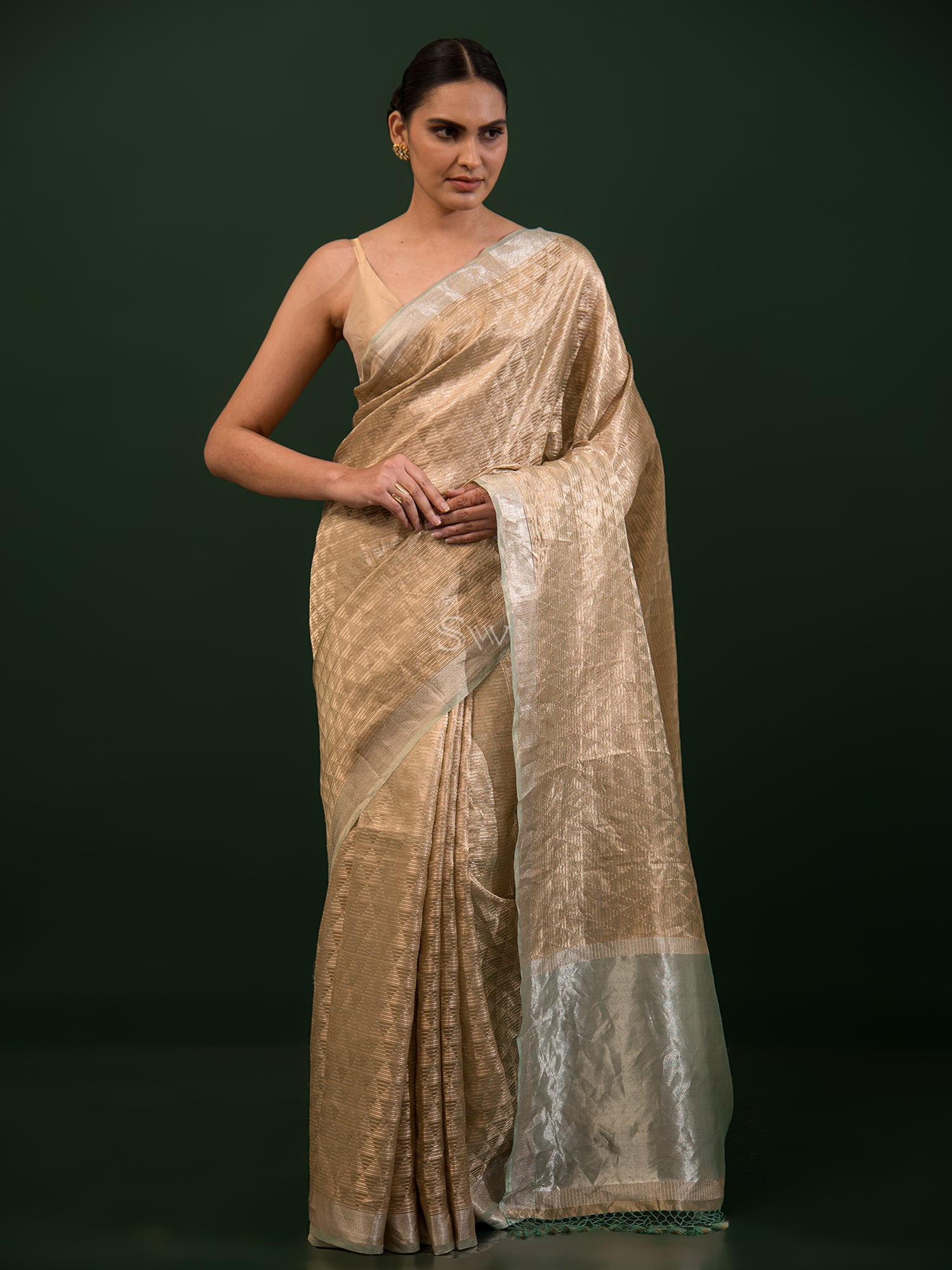 Buy Aadimam Creation Women's Cream Color Net Sequence Work Saree With Blouse  Piece at Amazon.in