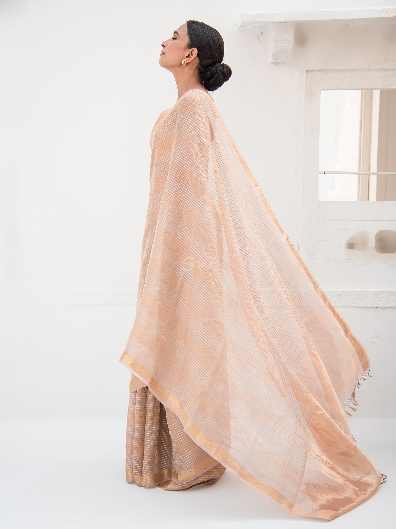 Pastel Brown Tissue Rangkat Handloom Banarasi Saree - Sacred Weaves