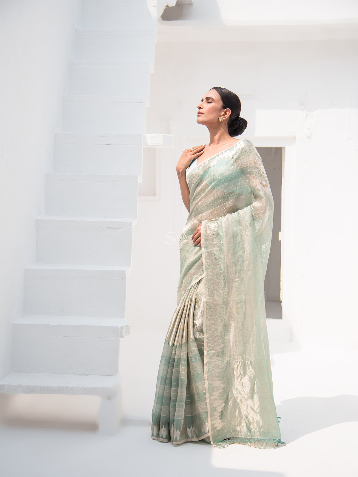 Pastel Green Crush Tissue Rangkat Handloom Banarasi Saree