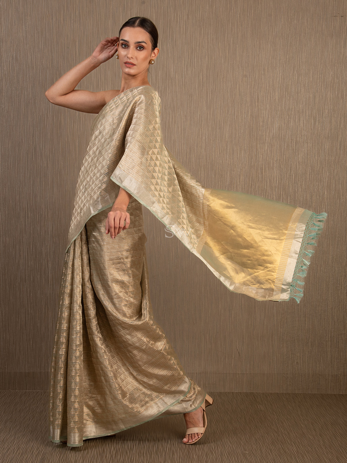 Pastel Green Tissue Brocade Handloom Banarasi Saree - Sacred Weaves