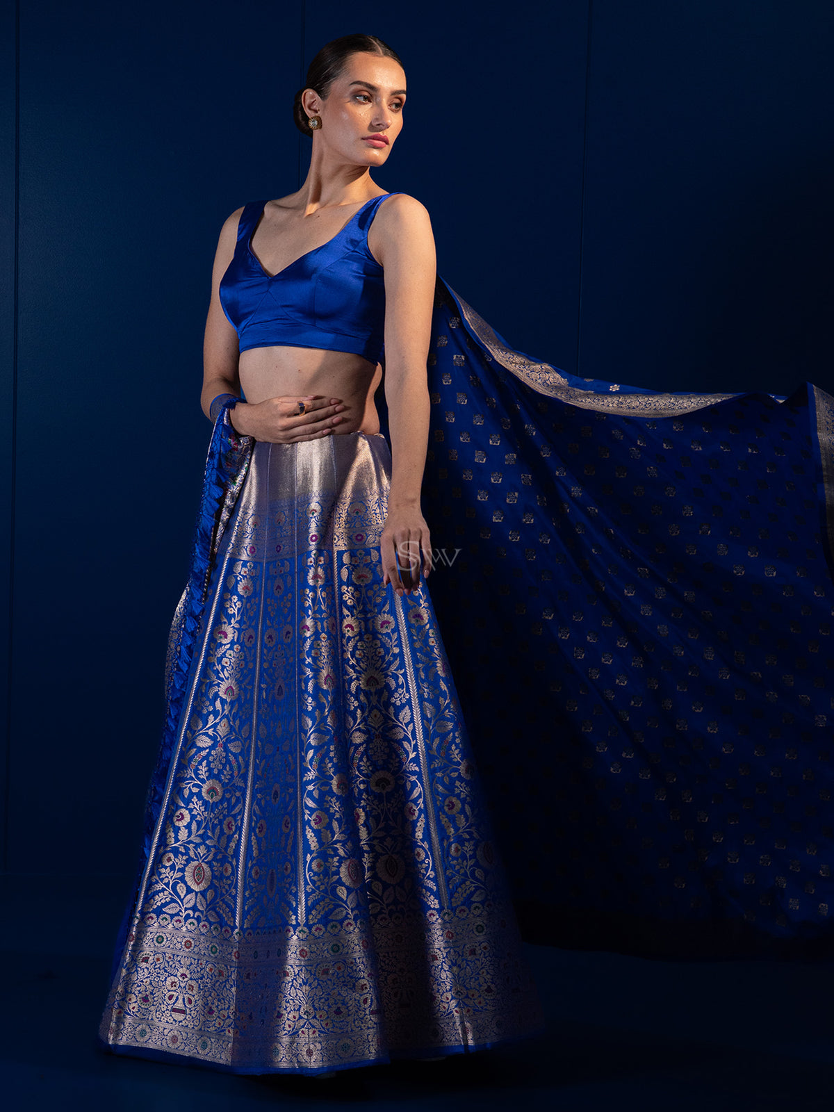 Royal Blue Meenakari Silk Handloom Banarasi Lehenga - Sacred Weaves