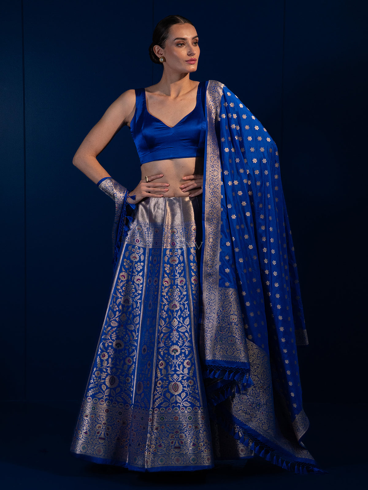 Royal Blue Meenakari Silk Handloom Banarasi Lehenga - Sacred Weaves