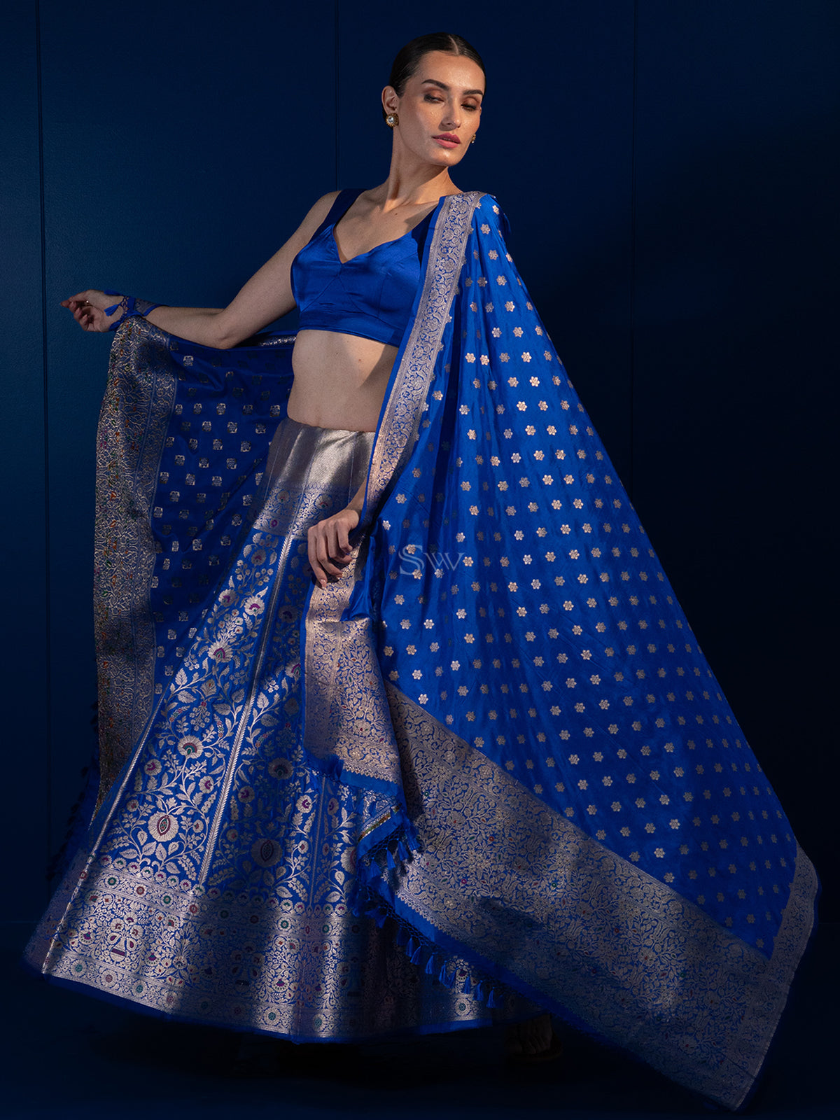 Royal Blue Meenakari Silk Handloom Banarasi Lehenga - Sacred Weaves